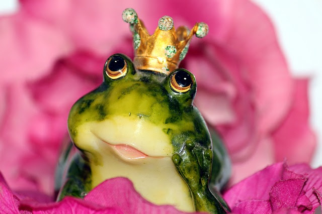 happy frog nestled in a pink rose