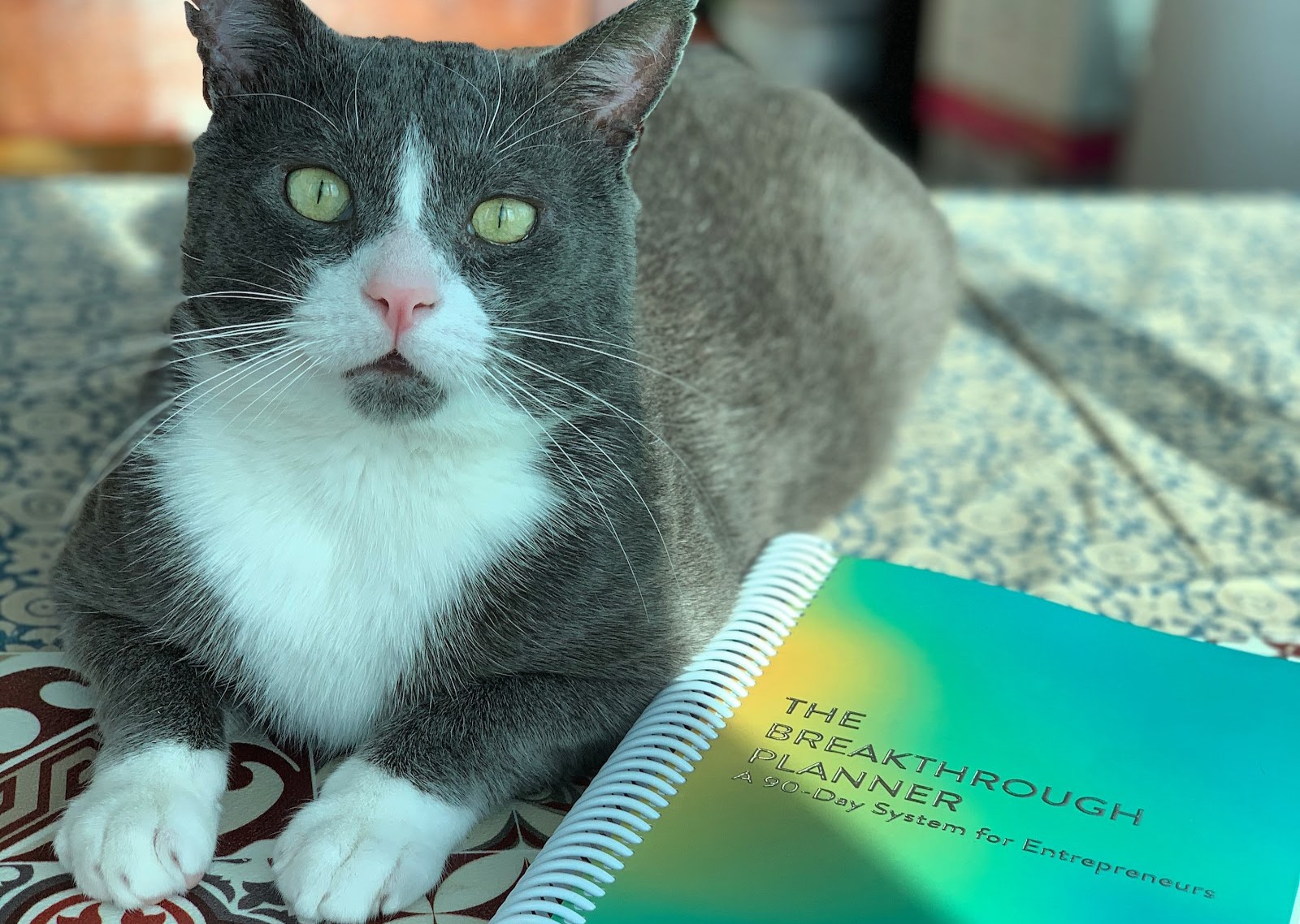 Clarity ~ How I Keep My Goals Straight When My Brain Doesn't